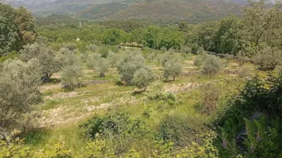 Rustic finca in Villanueva de La Vera photo 114