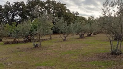 Rustic finca in Villanueva de La Vera photo 8