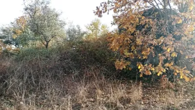 Rustic farm in Viandar de La Vera photo 37