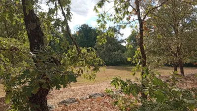 Rustic Finca in Villanueva de La Vera photo 14