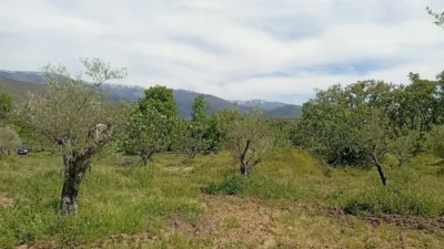Rustic finca in Villanueva de La Vera photo 47