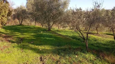 Rustic Finca in Losar de La Vera photo 4
