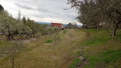 Rustic Finca in Villanueva de La Vera photo 22