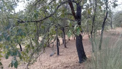 Rustic Finca in Villanueva de La Vera photo 51