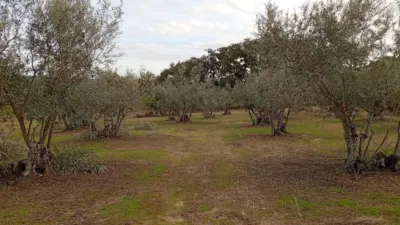 Rustic finca in Villanueva de La Vera photo 27