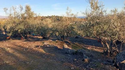 Rustic Finca in Villanueva de La Vera photo 64