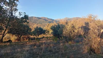 Rustic farm in Viandar de La Vera photo 25