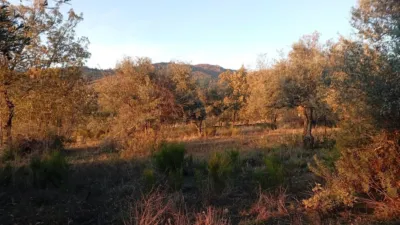 Rustic farm in Viandar de La Vera photo 4