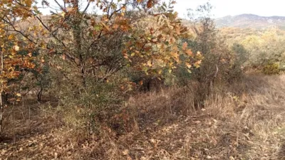 Rustic farm in Viandar de La Vera photo 41