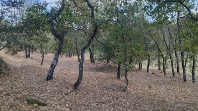 Rustic Finca in Villanueva de La Vera photo 106