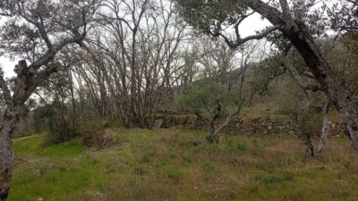 Rustic Finca in Valverde de La Vera photo 7