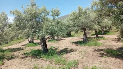 Rustic Finca in Villanueva de La Vera photo 45