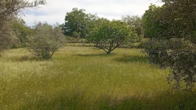 Rustic finca in Villanueva de La Vera photo 62