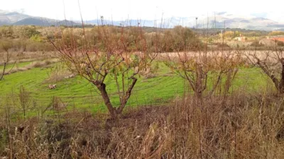 Rustic farm in Villanueva de La Vera photo 35