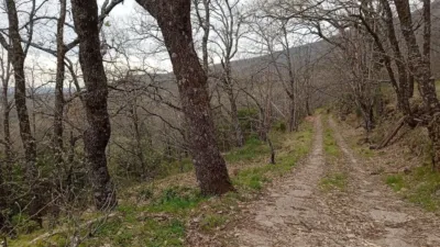 Rustic Finca in Valverde de La Vera photo 18