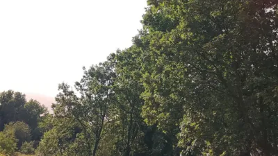 Rustic finca in Madrigal de La Vera photo 30