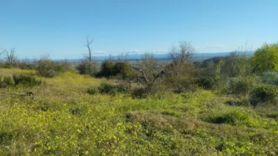 Rustic finca in Viandar de La Vera photo 24