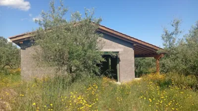 Chalet in Villanueva de La Vera photo 59