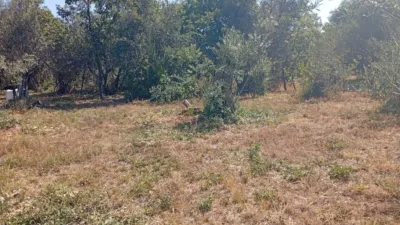 Rustic farm in Villanueva de La Vera photo 27