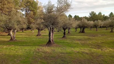 Rustic Finca in Villanueva de La Vera photo 10