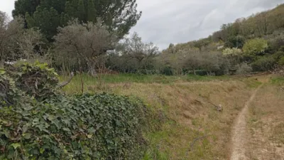 Rustic Finca in Villanueva de La Vera photo 55