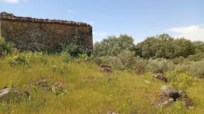Rustic finca in Villanueva de La Vera photo 13