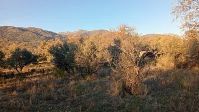 Rustic farm in Viandar de La Vera photo 24