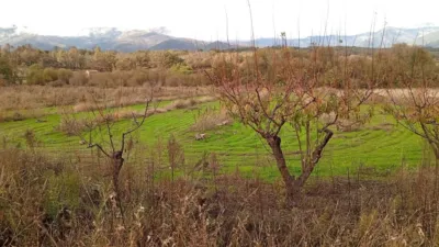 Rustic farm in Villanueva de La Vera photo 15
