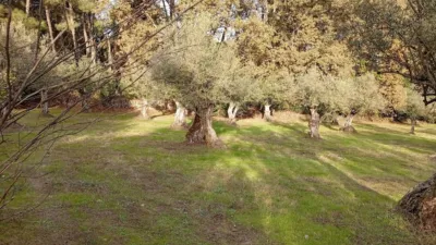 Rustic Finca in Villanueva de La Vera photo 26