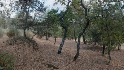 Rustic Finca in Villanueva de La Vera photo 107