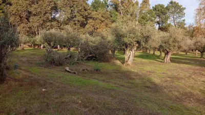 Rustic Finca in Villanueva de La Vera photo 38