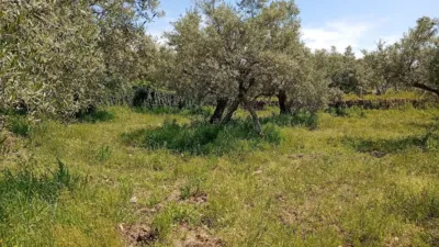 Rustic Finca in Villanueva de La Vera photo 79