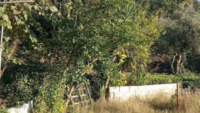 Rustic finca in Villanueva de La Vera photo 47