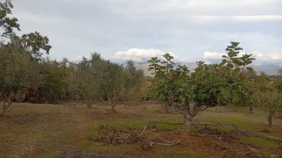 Rustic finca in Villanueva de La Vera photo 69