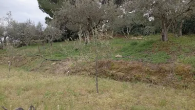 Rustic Finca in Villanueva de La Vera photo 25
