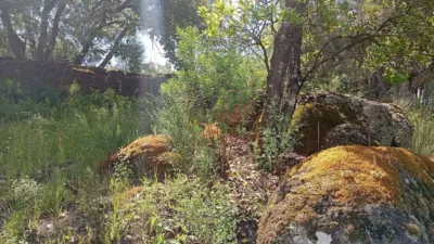Rustic finca in Villanueva de La Vera photo 70