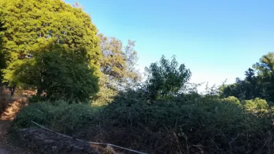 Rustic Finca in Villanueva de La Vera photo 9