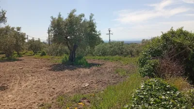 Rustic Finca in Villanueva de La Vera photo 6