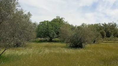 Rustic finca in Villanueva de La Vera photo 59