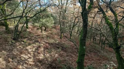 Rustic Finca in Villanueva de La Vera photo 4