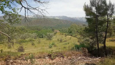 Rustic finca in Villanueva de La Vera photo 22