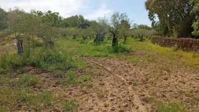 Rustic finca in Villanueva de La Vera photo 40