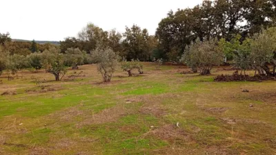 Rustic finca in Villanueva de La Vera photo 7