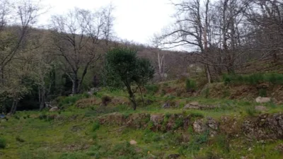 Rustic Finca in Valverde de La Vera photo 106