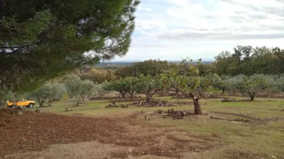 Rustic finca in Villanueva de La Vera photo 45
