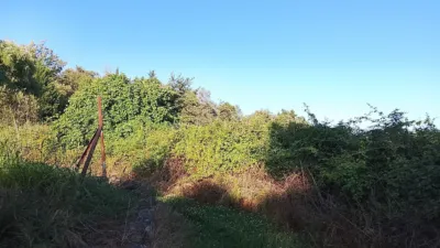 Rustic Finca in Villanueva de La Vera photo 8