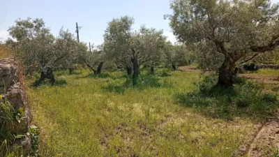 Rustic Finca in Villanueva de La Vera photo 78