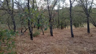 Rustic Finca in Villanueva de La Vera photo 33