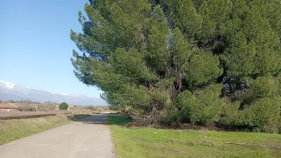 Rustic farm in Villanueva de La Vera photo 17