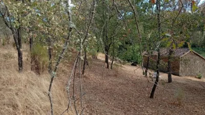 Rustic Finca in Villanueva de La Vera photo 24